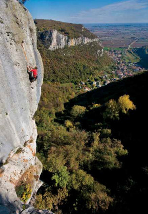 I Colli Berici (Art. corrente, Pag. 1, Foto generica)