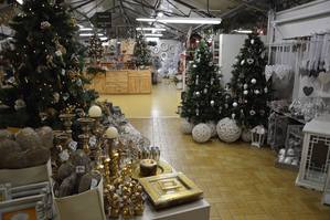 Albero di Natale, meglio vero o finto? - AgriCommercio e Garden Center