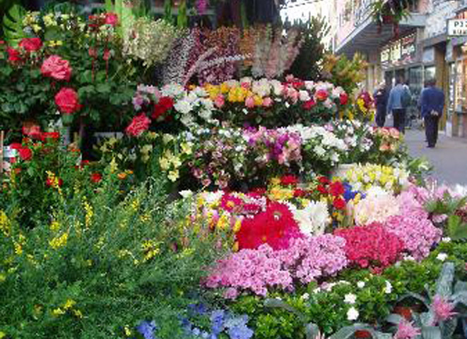 Relativamente giardino di fiori hi43 pineglen for Fiori in giardino