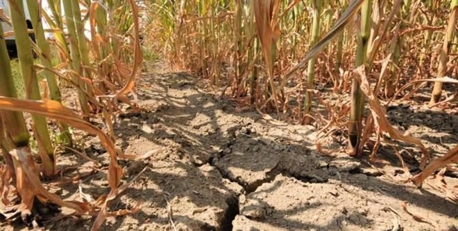 Allarme siccità, falde basse da record