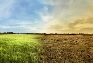 Lezioni di cambiamento climatico<br>
nelle scuole