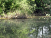 All’oasi di Casale scarseggia l’acqua