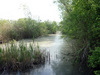 All’oasi di Casale scarseggia l’acqua