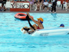 Vicenza Splash 2010