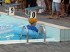 Vicenza Splash 2010