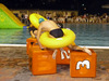 Vicenza Splash 2010