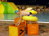 Vicenza Splash 2010