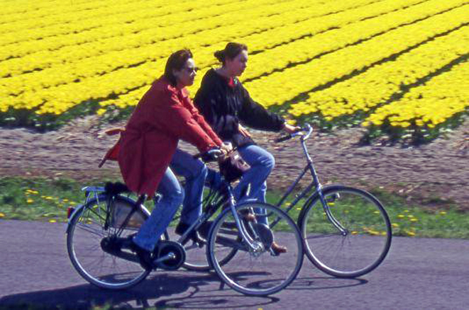 La bicicletta, amica ecologica, ma sottovalutata