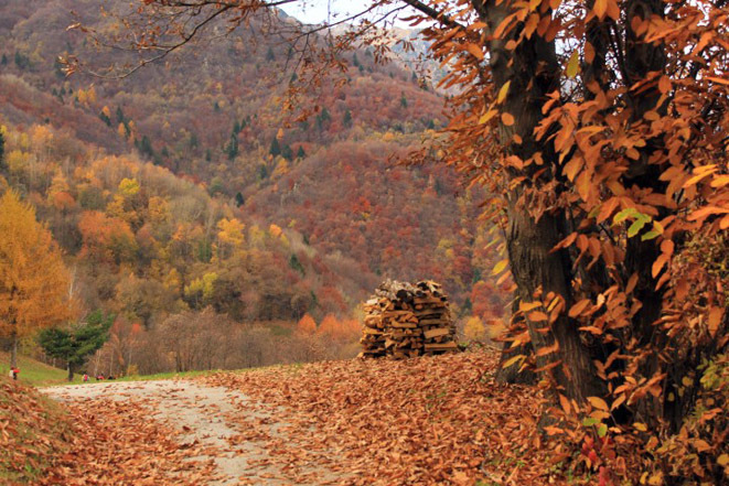 Quei sentieri che fanno meditare