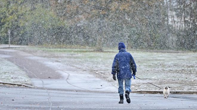 Inverno promosso! Buone notizie per agricoltura e 