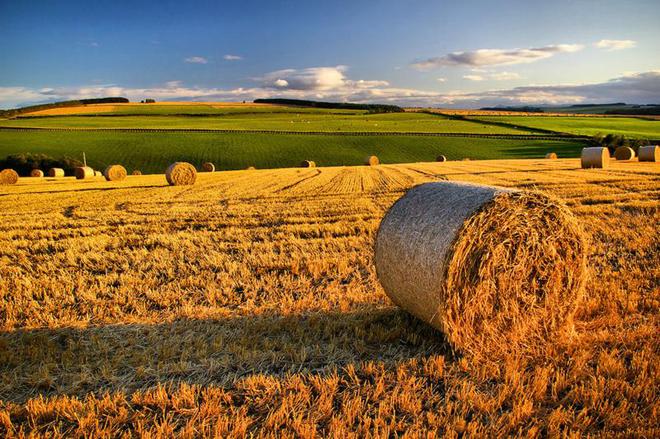 Riforma Pac, per l'agricoltura aiuti in arrivo