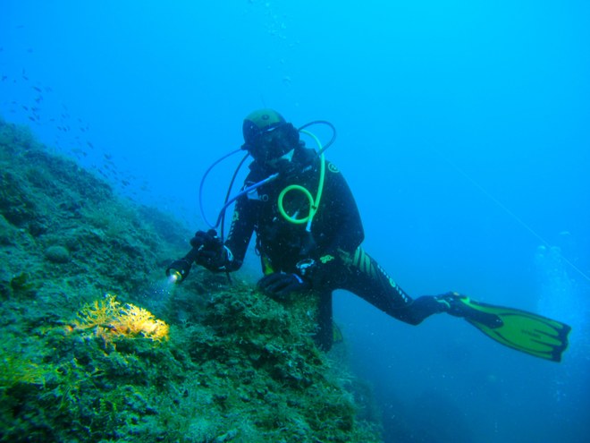 Sott’acqua è sempre bello, ma basta la prudenza?