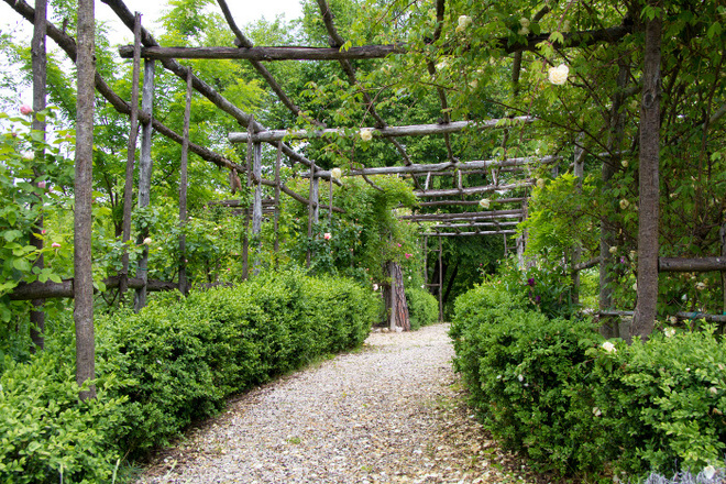 Come coltivare verdure felici e fiori gentili