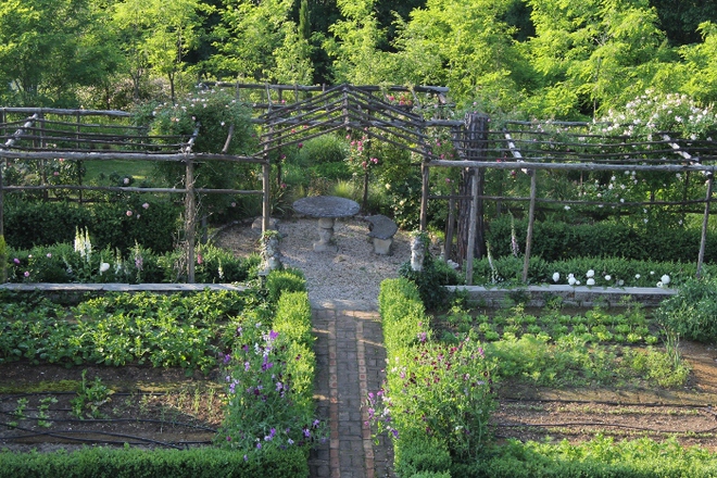 Come coltivare verdure felici e fiori gentili